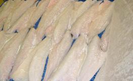 Protein-Tec White fish