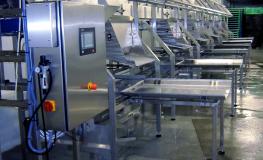 Head Processing Line