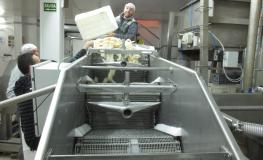 Salt separator
